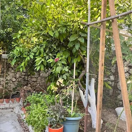 In A Historical House In Carsi Alaçatı