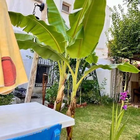 In A Historical House In Carsi Alacati