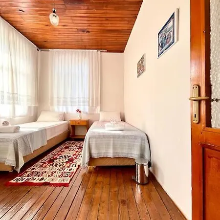 Apartment In A Historical House In Carsi *