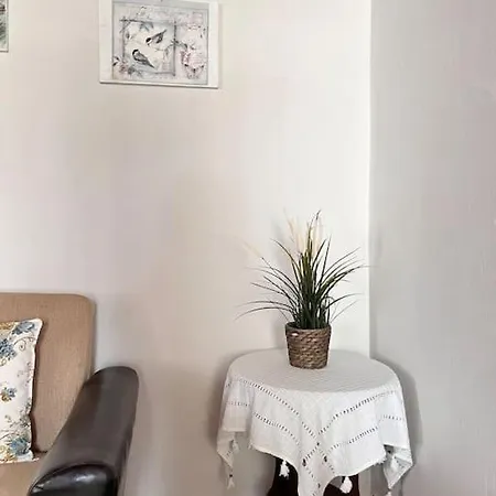 Apartment In A Historical House In Carsi