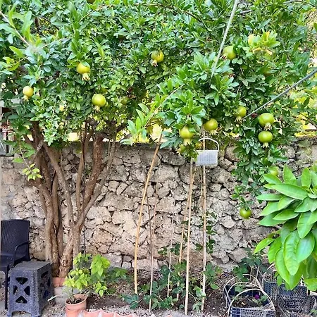 In A Historical House In Carsi شقة ألاتشاتي