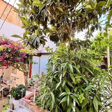 شقة In A Historical House In Carsi ألاتشاتي