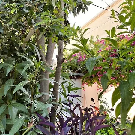 In A Historical House In Carsi ألاتشاتي